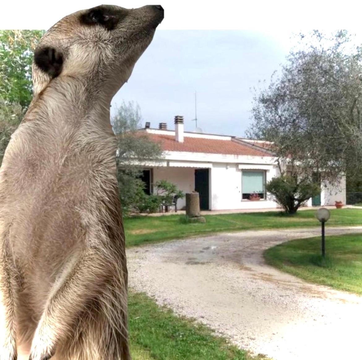 A Casa Di Asia Viterbo Kültér fotó